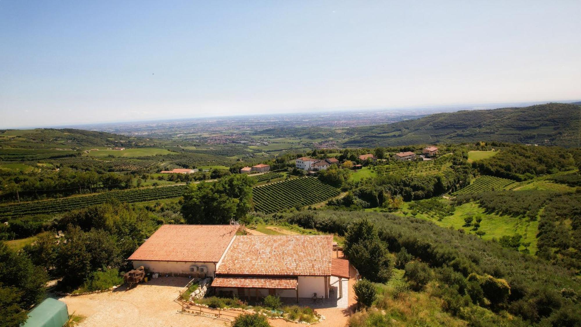 Agriturismo La Perlara - Adults Only Верона Екстериор снимка